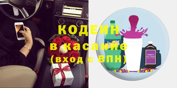 индика Алексин
