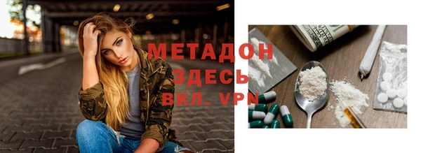 индика Алексин