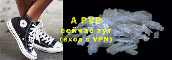 индика Алексин