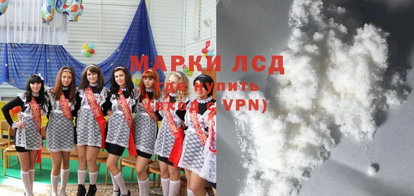 индика Алексин