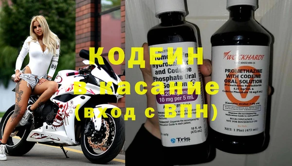 индика Алексин