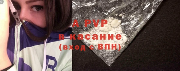 индика Алексин