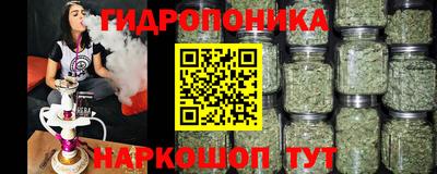 спайс Гагарин