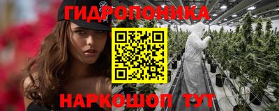 спайс Гагарин