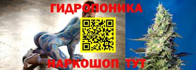 спайс Гагарин