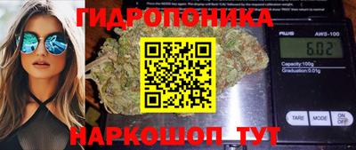 гидропоника Гай