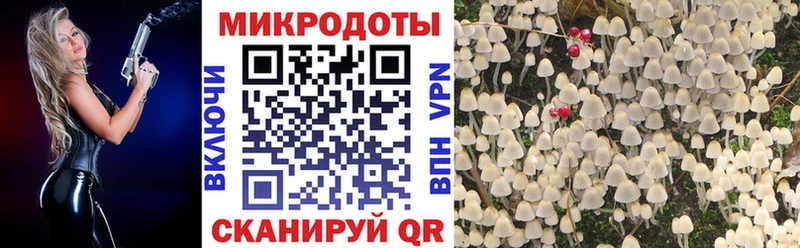Псилоцибиновые грибы прущие грибы  Мичуринск 