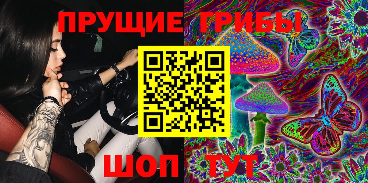 Мичуринск  Галлюциногенные грибы Cubensis  Вход с VPN 